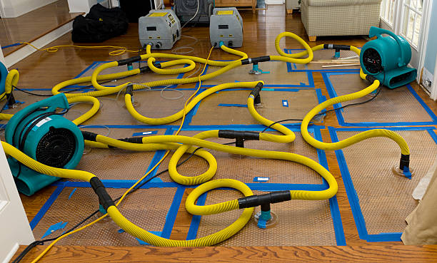 Professional Basement Flood Cleanup technician working in Marlow, NH